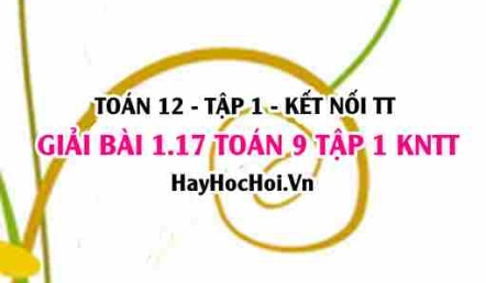 Giải 1.17 Toán 12 tập 1 SGK Kết nối tri thức
